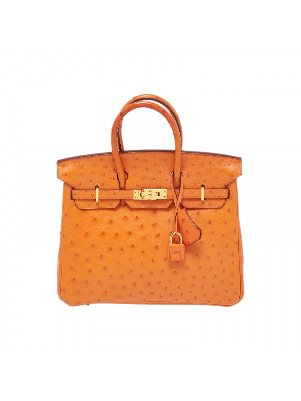 Сумка Hermes Birkin 25 из кожи страуса